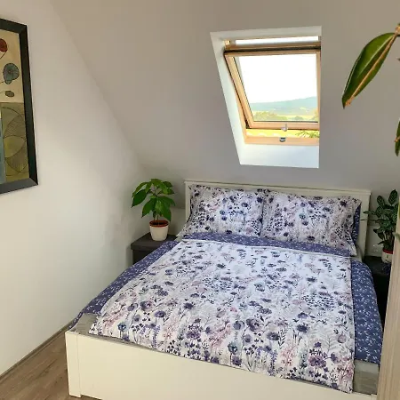 Apartment Kali Koveskal